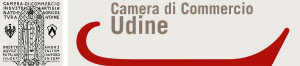 Logotipo CCIAA Udine Colore