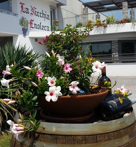 veduta_estate3